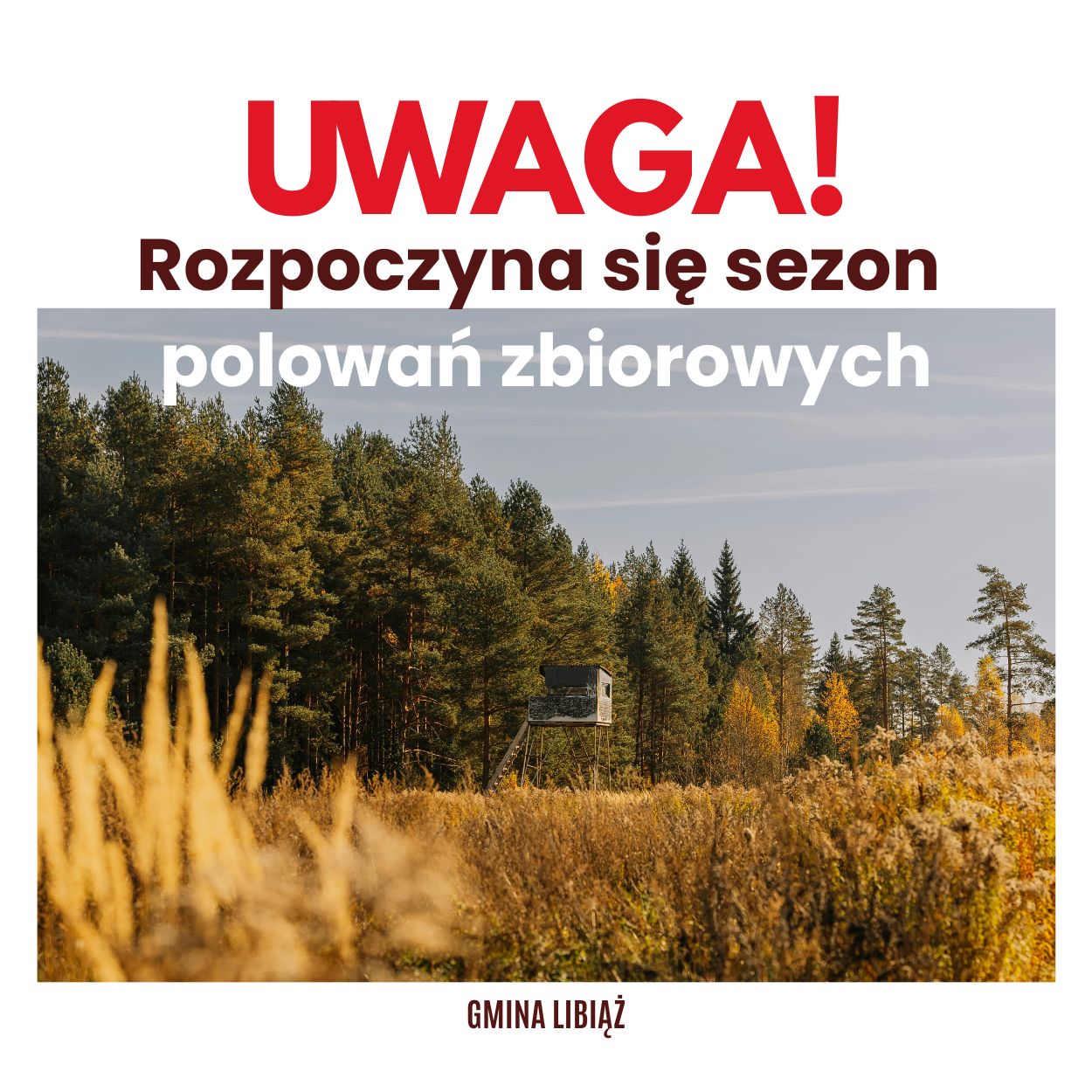 Polowania zbiorowe w Libiążu. Mieszkańcy powinni zachować ostrożność